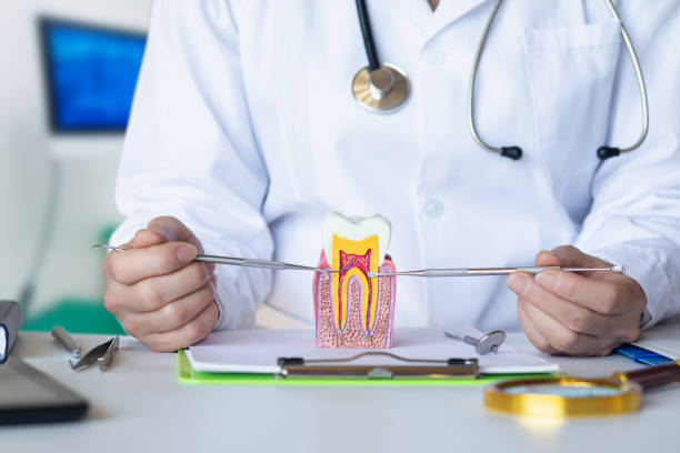 Best Emergency Dental Services for Seniors in Harrison, WI